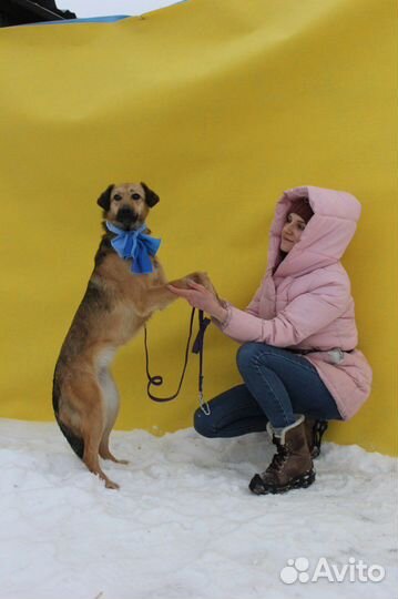 Рейчел молодая девочка, подросток