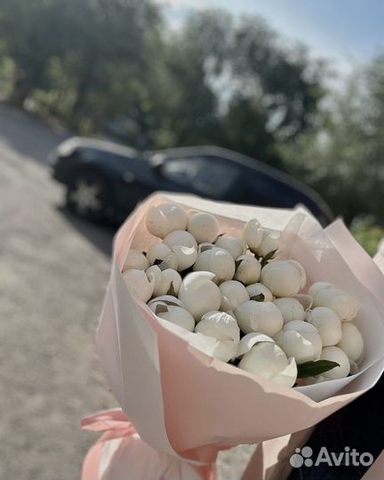 Пионы букет