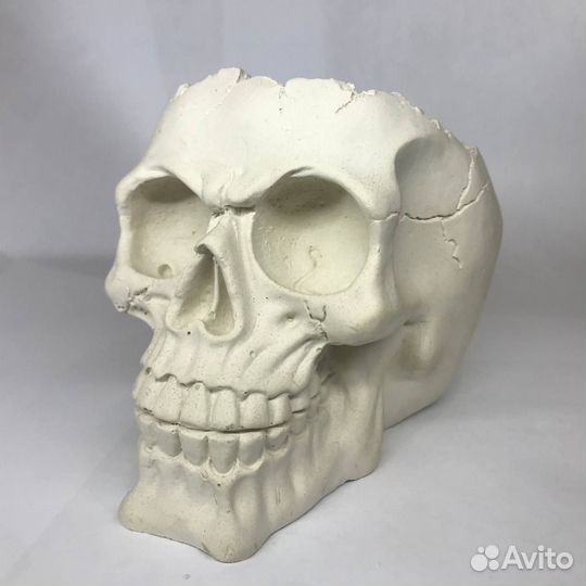 Кашпо Череп подставка для украшений кашпо / конфет