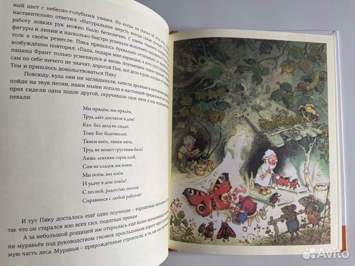 В стране гномов. Эрих Хайнеманн