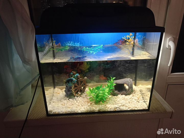 Аквариум