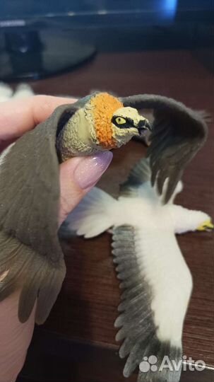 Коллекция силиконовых птиц