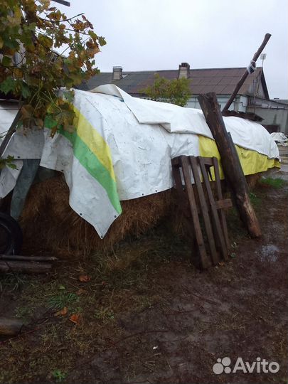 Сено в тюках