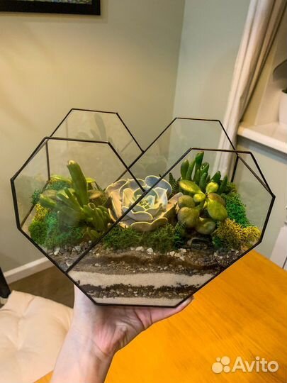 Мастер-класс по созданию флорариума из суккулентов