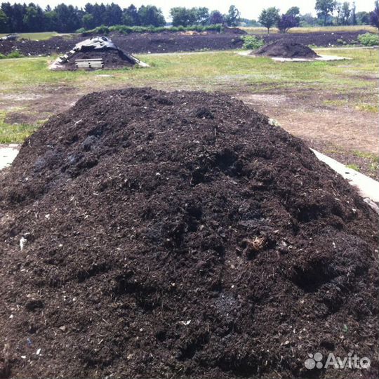 Перегной куриный