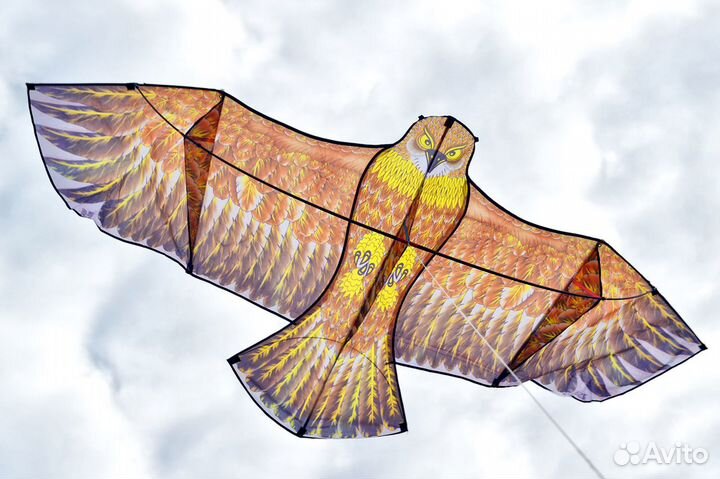 Воздушный змей Пестрый Сапсан 2.3 метра