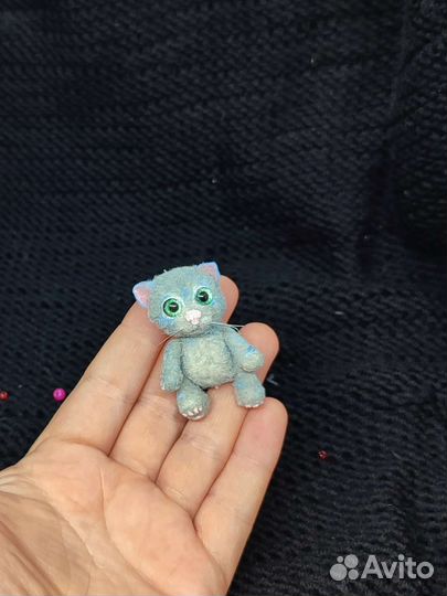 Чеширский кот, котенок