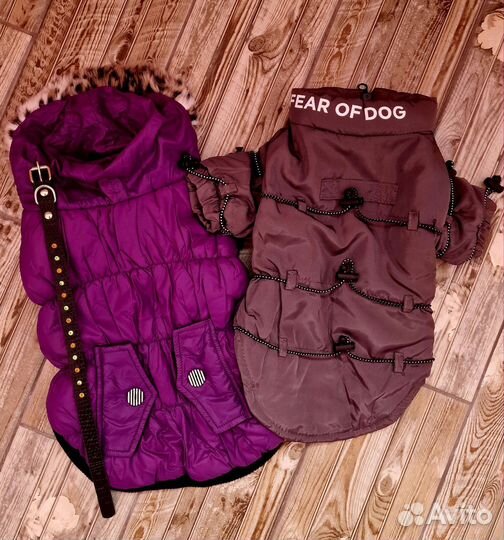 Одежда для собак