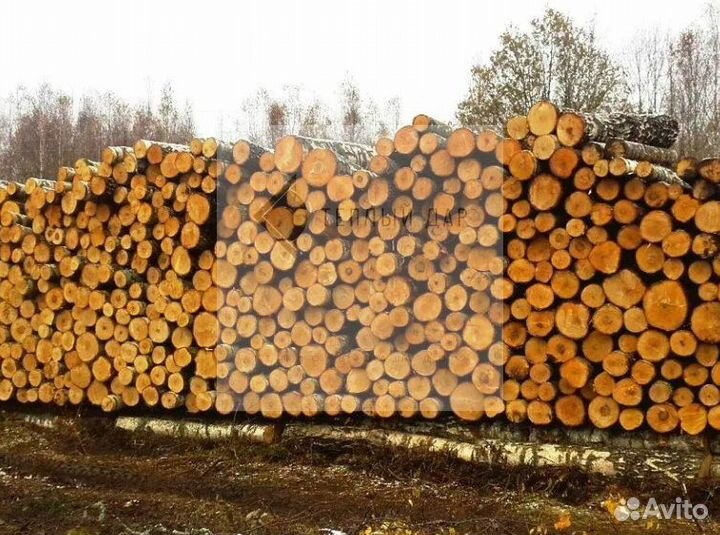 Дрова с доставкой