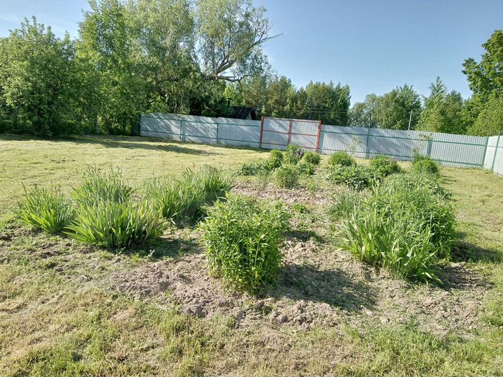 Участок 11,5 сот. (СНТ, ДНП)