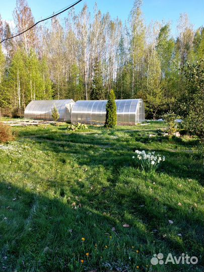 Теплица из Поликарбоната