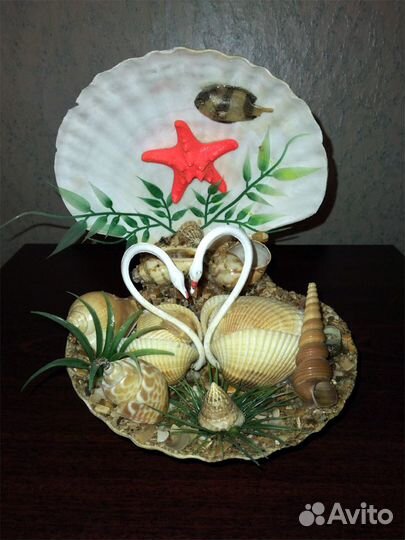 Красивая Ракушка