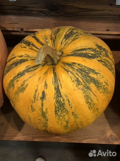 Тыква/кабачки