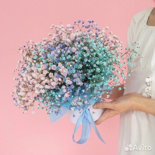 Гипсофилы. Композиция из гипсофилы