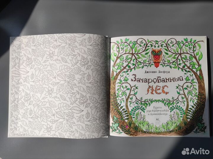 Антистресс книга-раскраска Зачарованный лес