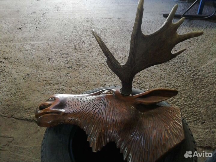 Голова лося с рогами