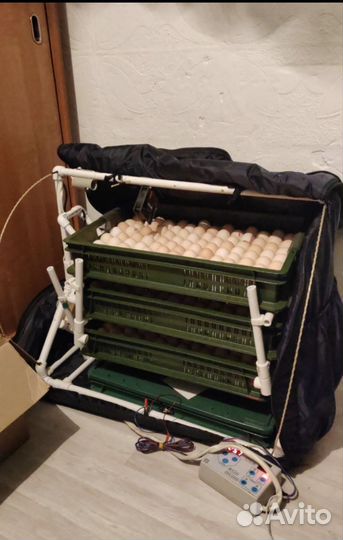 Инкубатор для яиц автоматический на 360 яиц