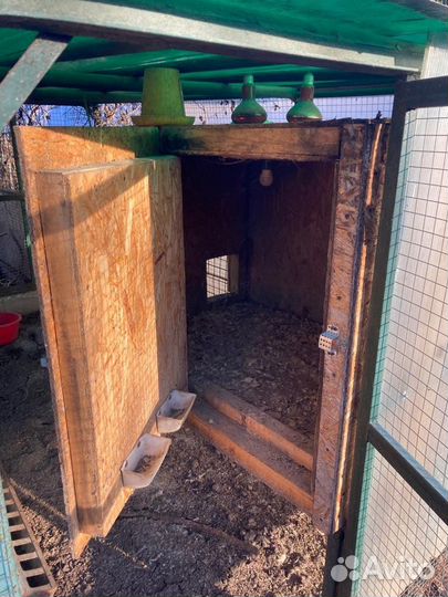 Курятник с выгулом для куриц