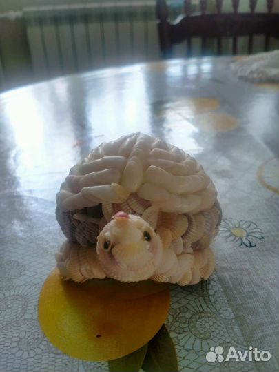 Черепаха из ракушек