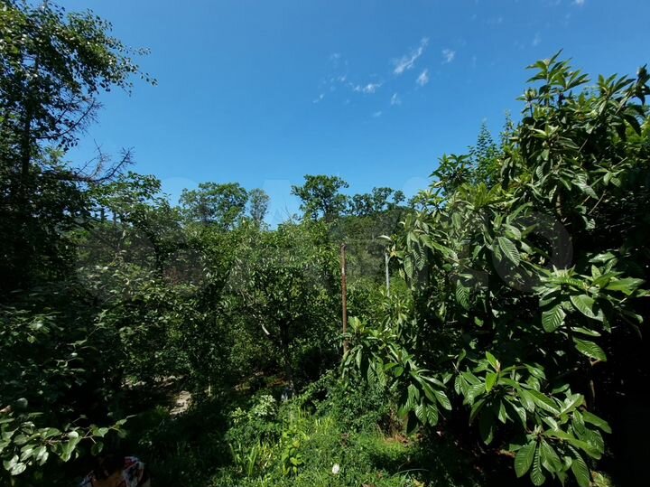 Участок 7,2 сот. (СНТ, ДНП)