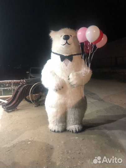 Выступление Белого Мишки