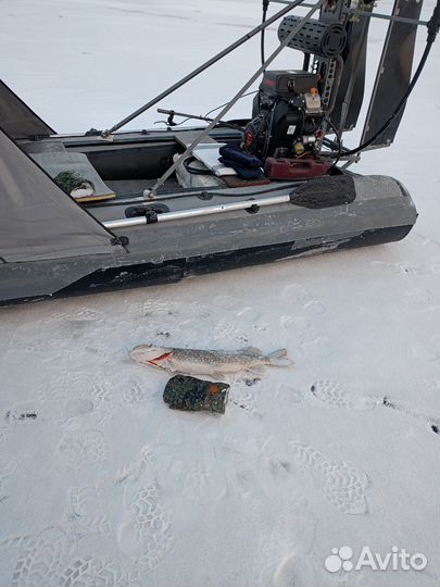 Аэролодка 30л.с