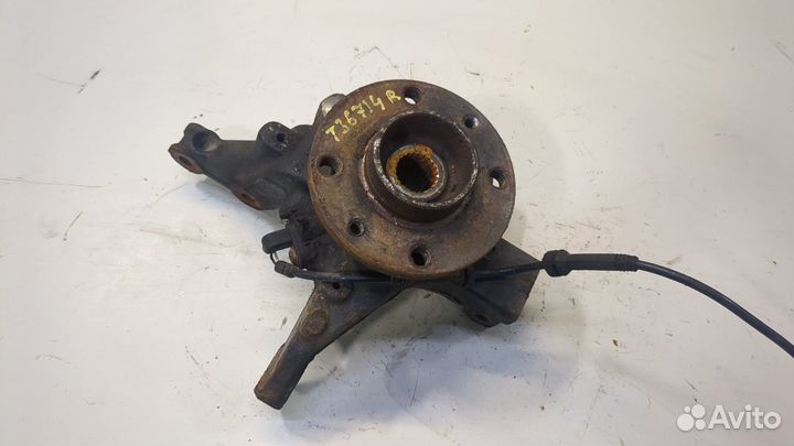 Ступица (кулак, цапфа) Renault ZOE, 2015