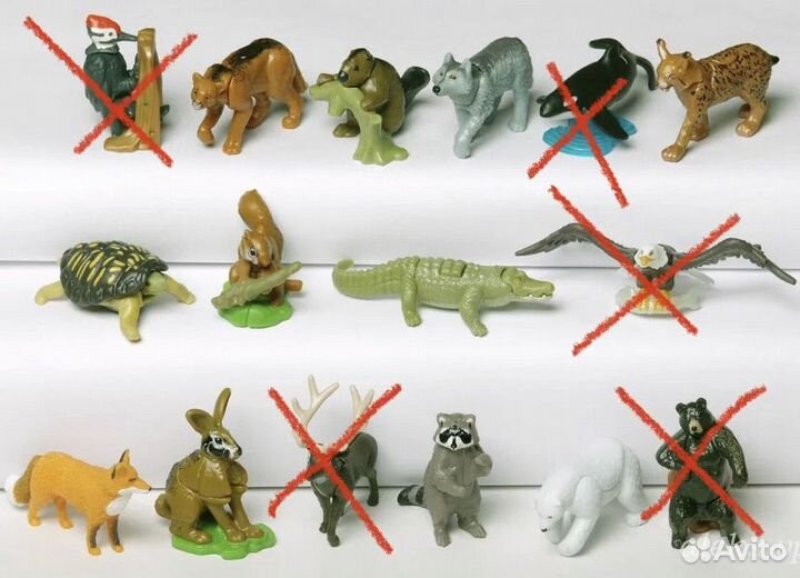 Киндер natoons