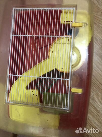 Клетка для грызунов прозрачная 50х35