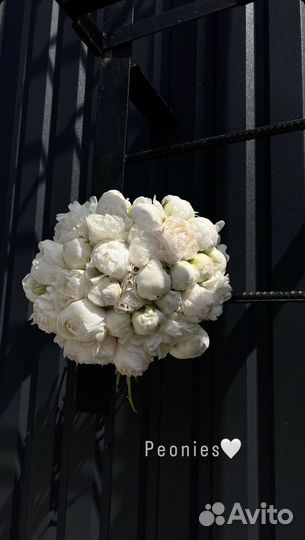 Пионы Цветы Букеты Корзины Доставка 24/7