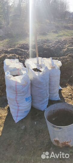 Навоз коровий