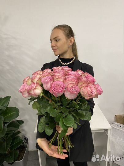 Розы пионовидные сорта Ginette