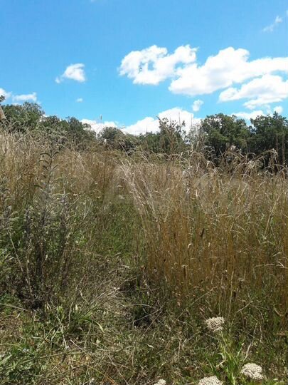 Участок 11 сот. (ИЖС)