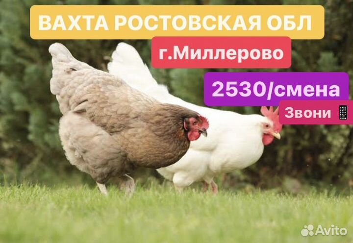 Разнорабочий вахта в Ростовскую обл. оплатим проез