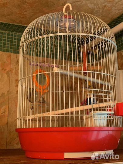 Клетка для попугая бу
