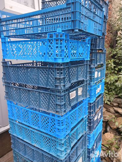 Пластиковые ящики для овощей бу