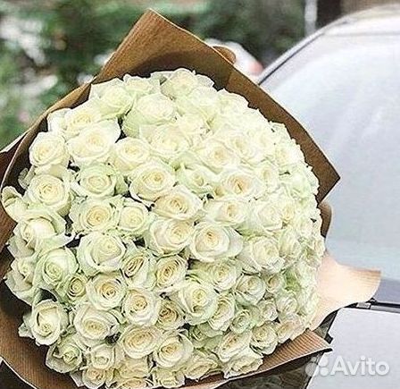 Розы Эквадор Метровые 100 см доставка Москва