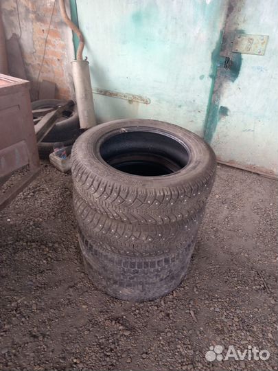 Tunga Tunga 6/6 R15