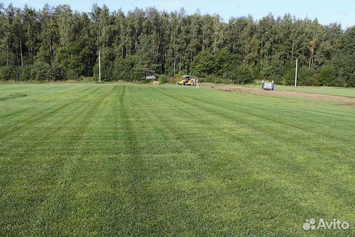 Укладка и продажа рулонного газона