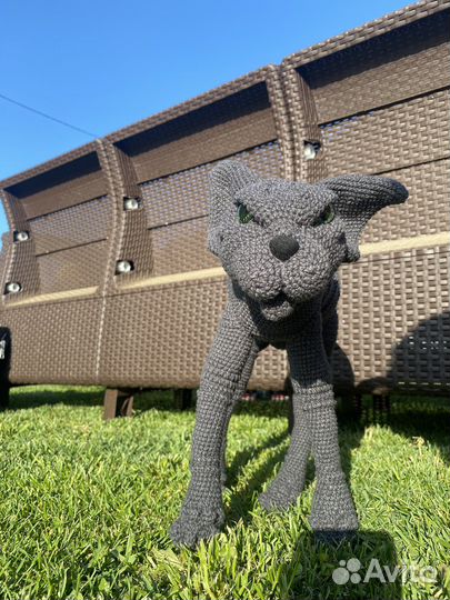 Кот сфинкс вязанный