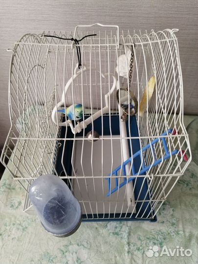 Клетка для попугая