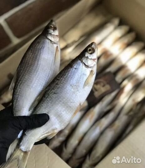 Астраханская рыба вяленая