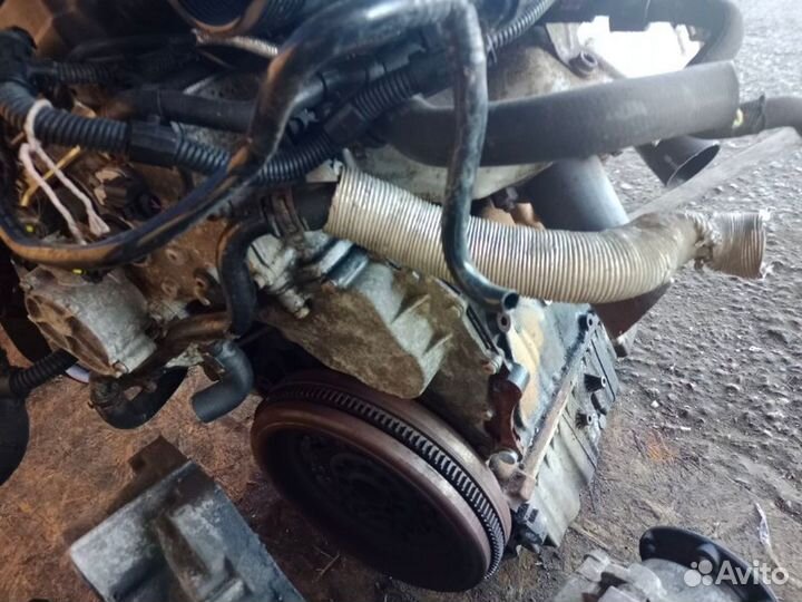 Двигатель Volkswagen Passat AXZ