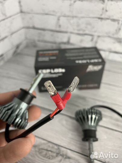 Светодиодные лампы H1-H3 AMP