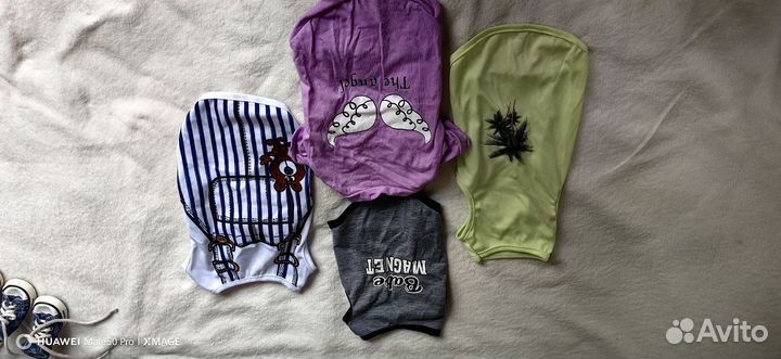 Одежда для маленьких собак