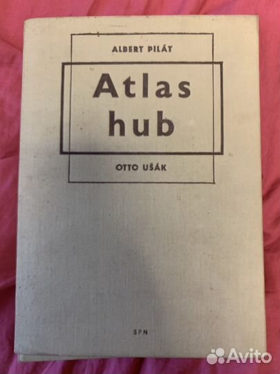 Атлас грибов торг