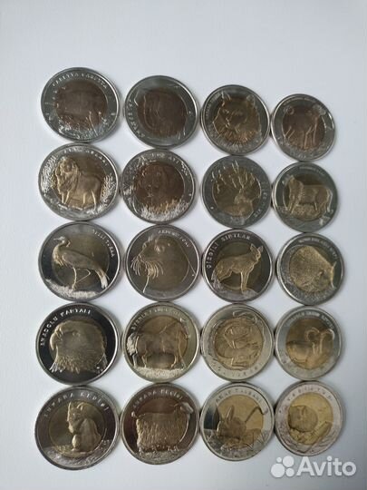 Набор 1 лира Турции Красная книга