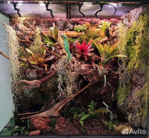 Обслуживание аквариумов/террариумов