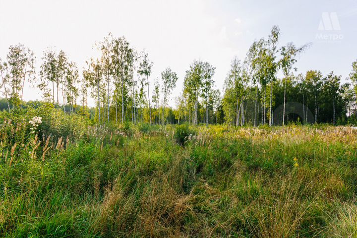 Участок 25 сот. (СНТ, ДНП)