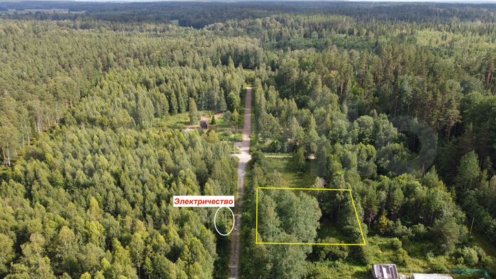 Участок 11,5 сот. (СНТ, ДНП)